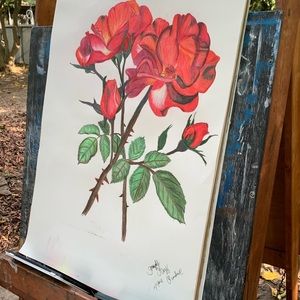 Colored Pencil Rose drawing *Original* Only one